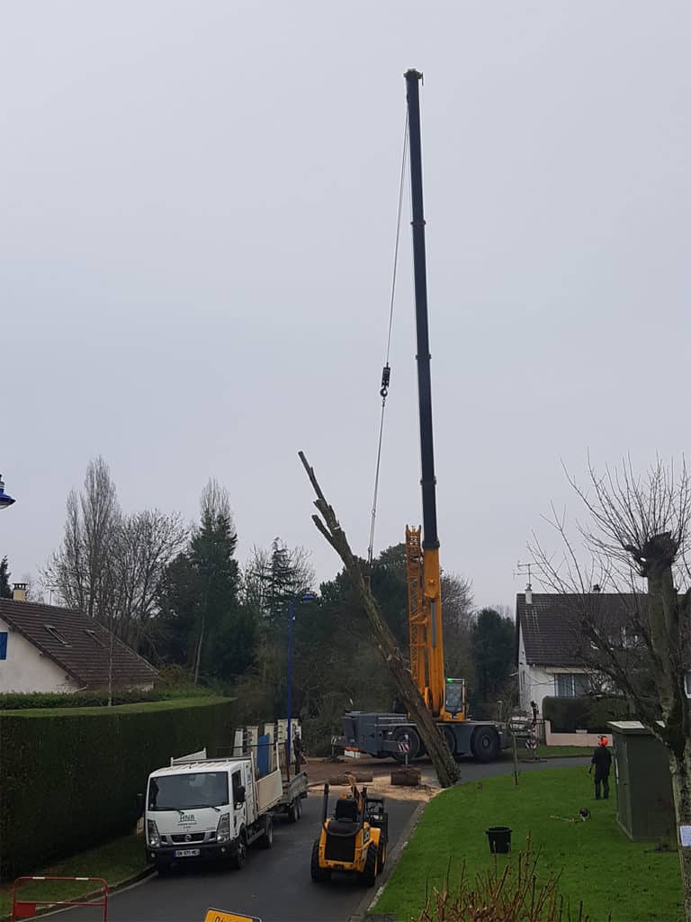 abbatage arbre grue normandie caen