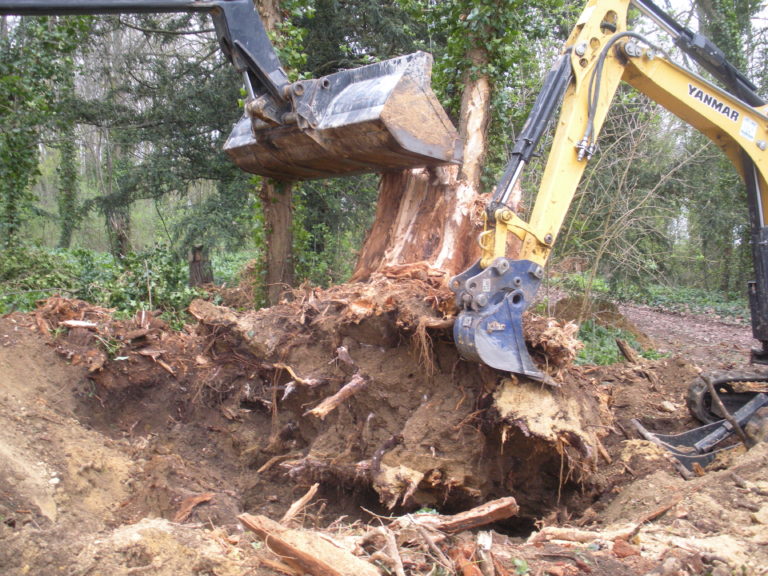 Dessouchage arbres racines souches arbres normandie caen calvados