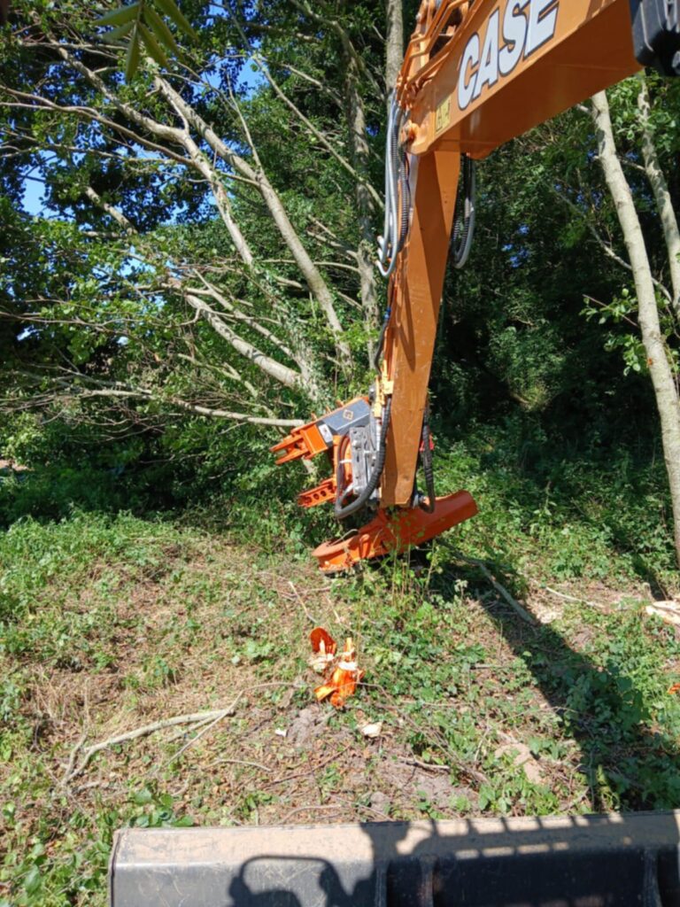 valorisation-bois-plaquettes-normandie.jpg