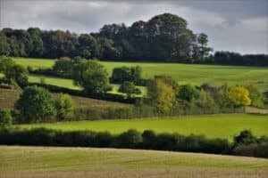 Gestion durable des haies bocagères en Normandie avec Horizon Nature et Bois