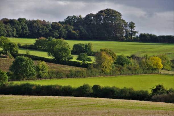 Gestion durable des haies bocagères en Normandie avec Horizon Nature et Bois