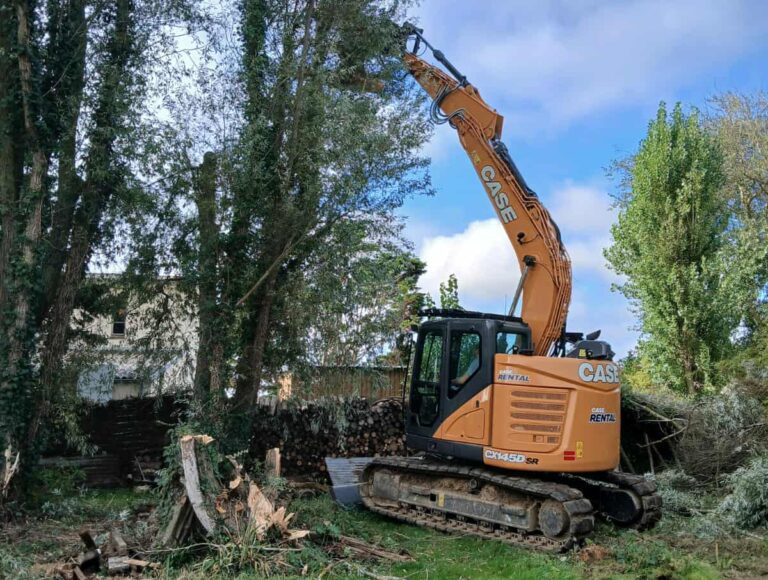 Démontage d’arbres dépérissants par Horizon Nature & Bois