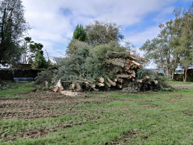 Copeaux de bois valorisés en chaufferie – Horizon Nature & Bois