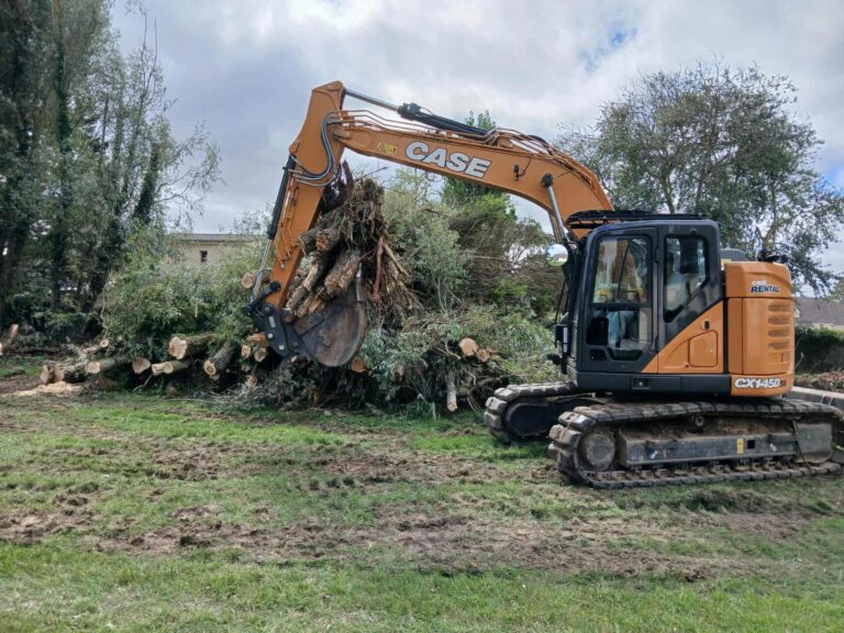 démontage d’arbres dépérissants