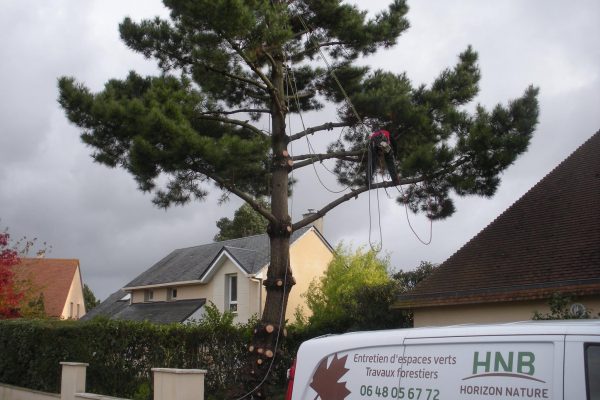 logo-hnb-horizon-nature-bois-pierre-paris-calvados-douvres-caen-elegage-tailel-coupe-abattage-arbre