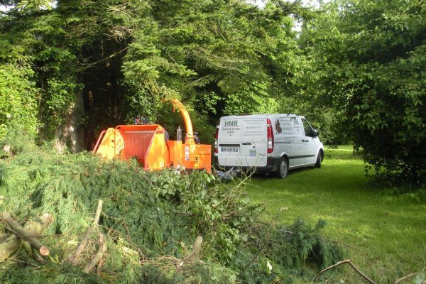 logo-hnb-horizon-nature-bois-pierre-paris-calvados-douvres-caen-taile-arbres-coupes-abattages-elagages-paysagiste